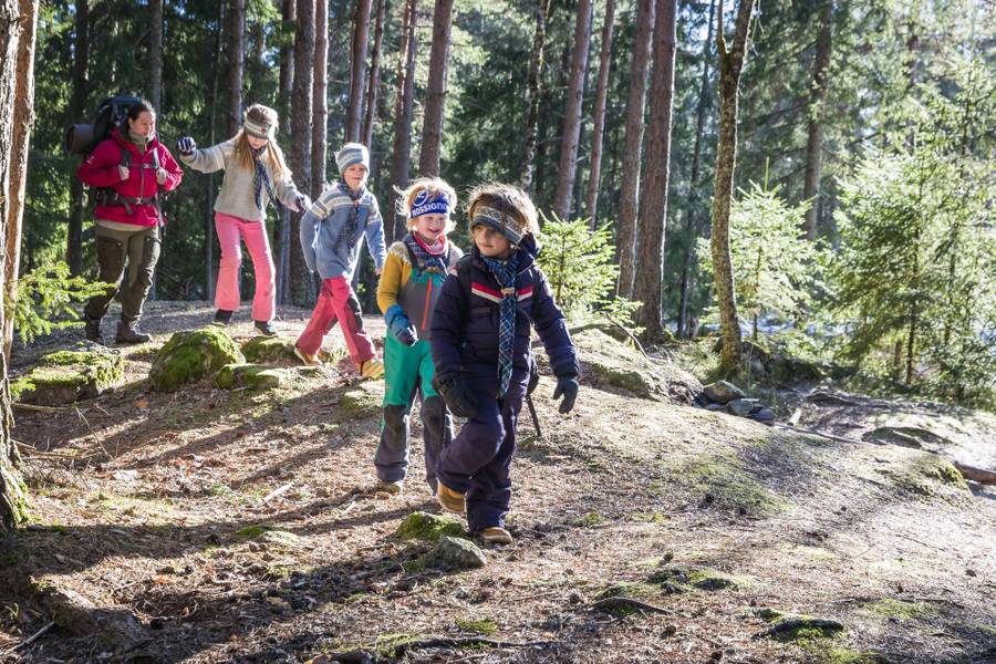 Barn går tur i skogen
