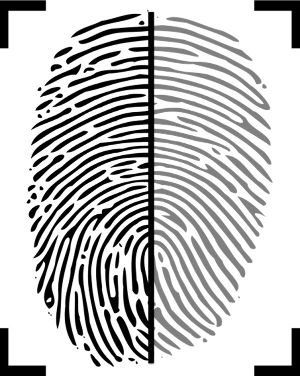 SCANOVIS – visibility by scanning