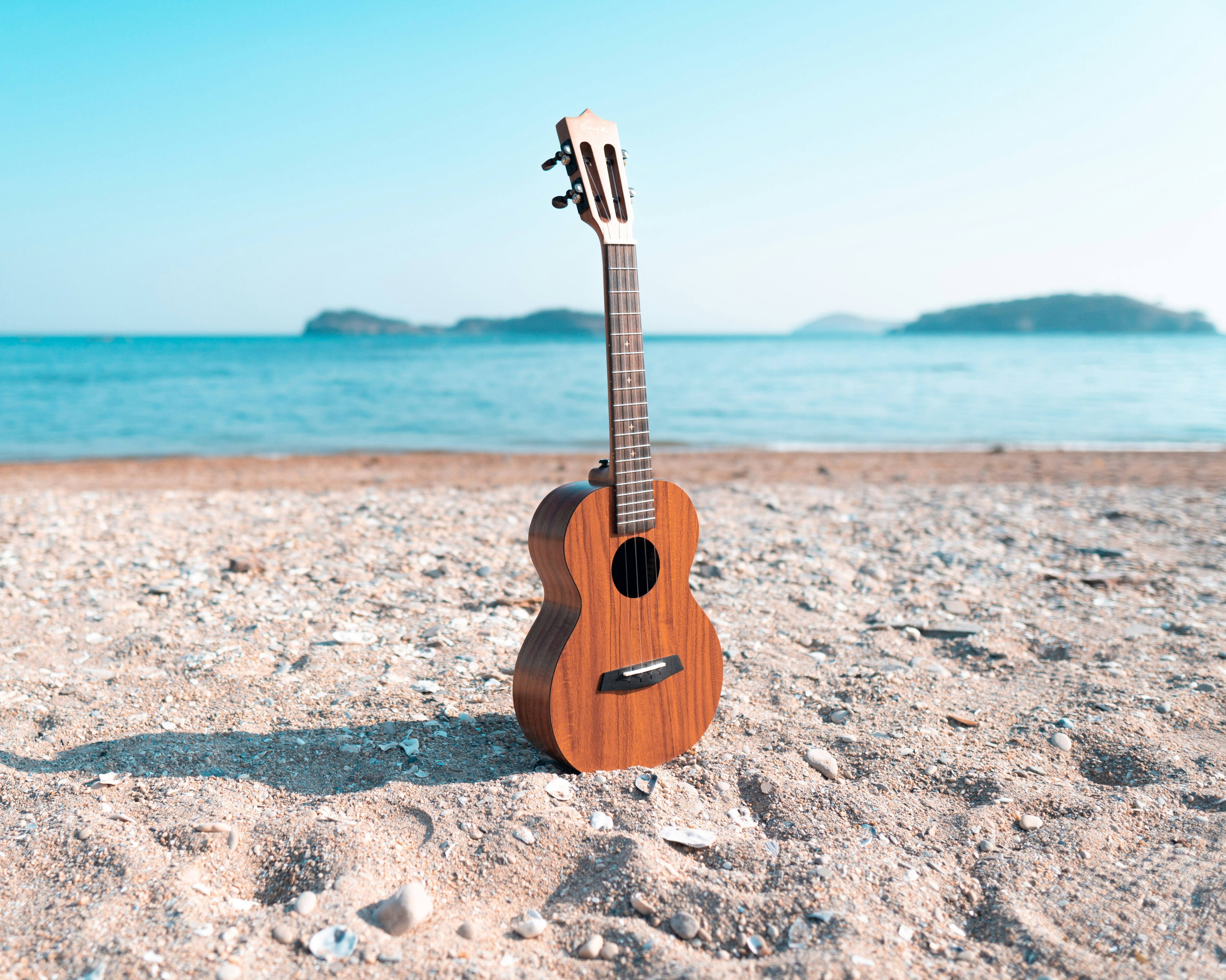 Clare Island Folk Festival 2025