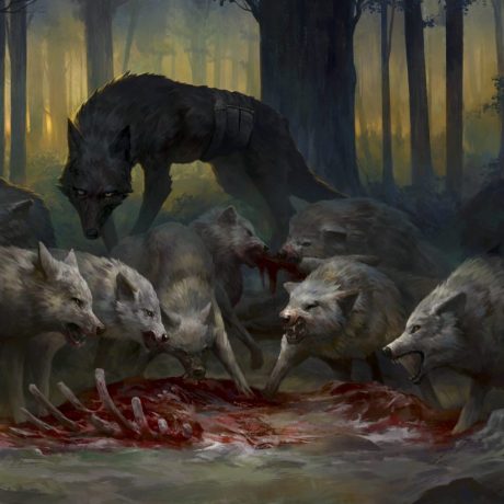 2D ART – N-IX — 17