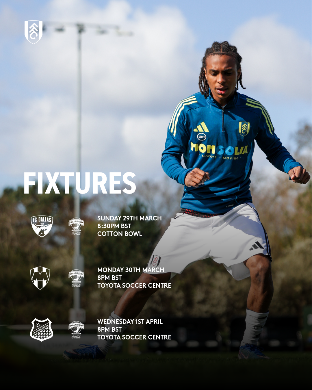 Fulham FC - Tazza mezza tonalità