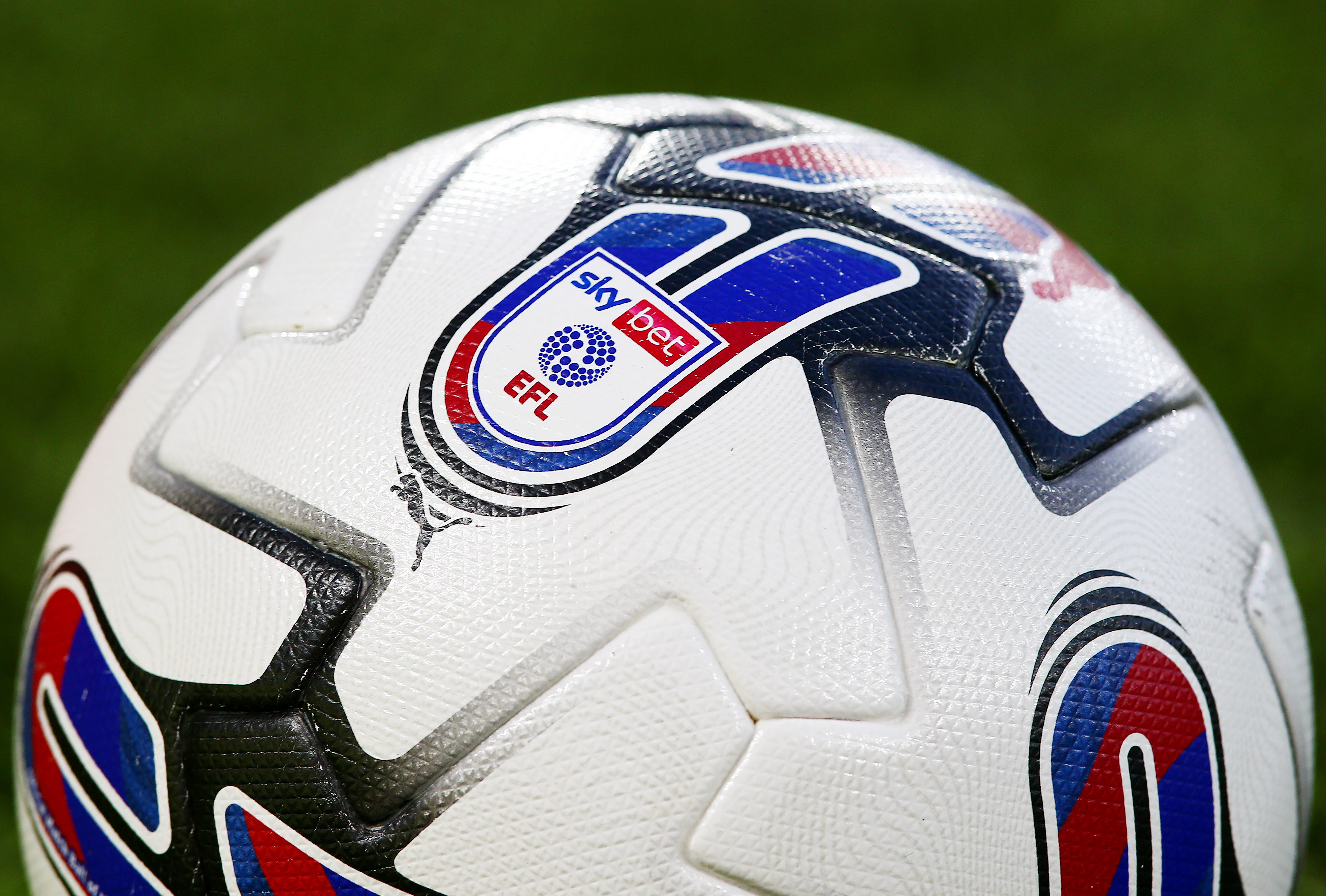 Re: [閒聊] 法律足球正夯 狐狸城