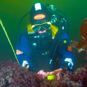 Tinytag Aquatic 2 data logger underwater environmental monitoring