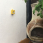 Tinytag Plus 2 rugged outdoor temperature data logger