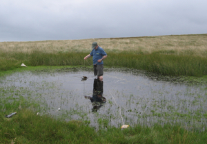 Tinytag data loggers record temperature in freshwater ponds