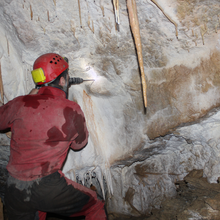 Tinytags monitor caves in Romania