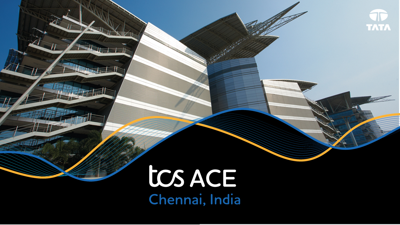 ACE Program | Junior Developer