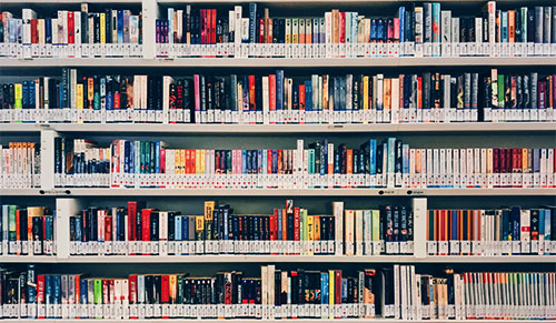 Large bookshelf full with books