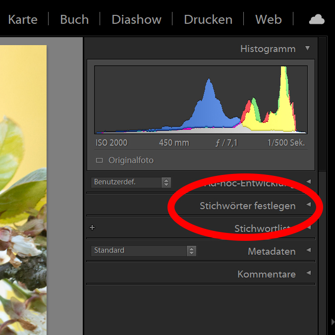 Der Reiter STICHWÖRTER FESTLEGEN öffnet die Bedienfelder für die Vergabe von Schlagwörtern.