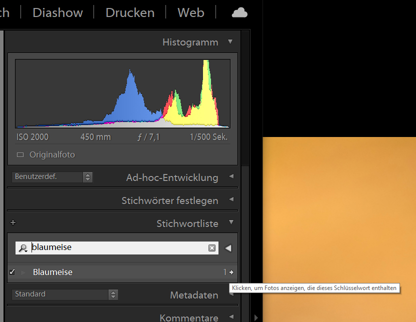 Rechts neben dem Suchbegriff BLAUMEISE steht die Anzahl der gefundenen Fotos. In diesem Fall eins.