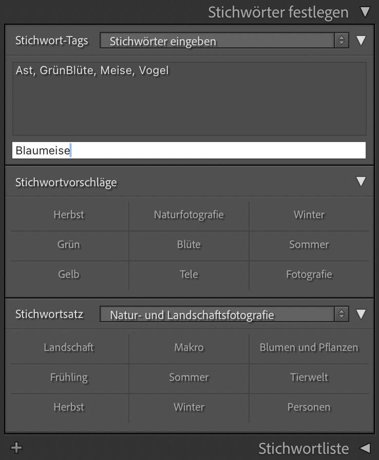Stichwörter sollten aussagekräftig sein, um später leicht passende Bilder zu finden.