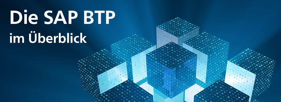 Die SAP BTP im Überblick