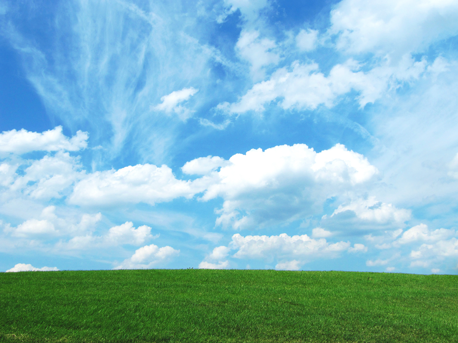 Bild ohne Golfer und Baumkrone