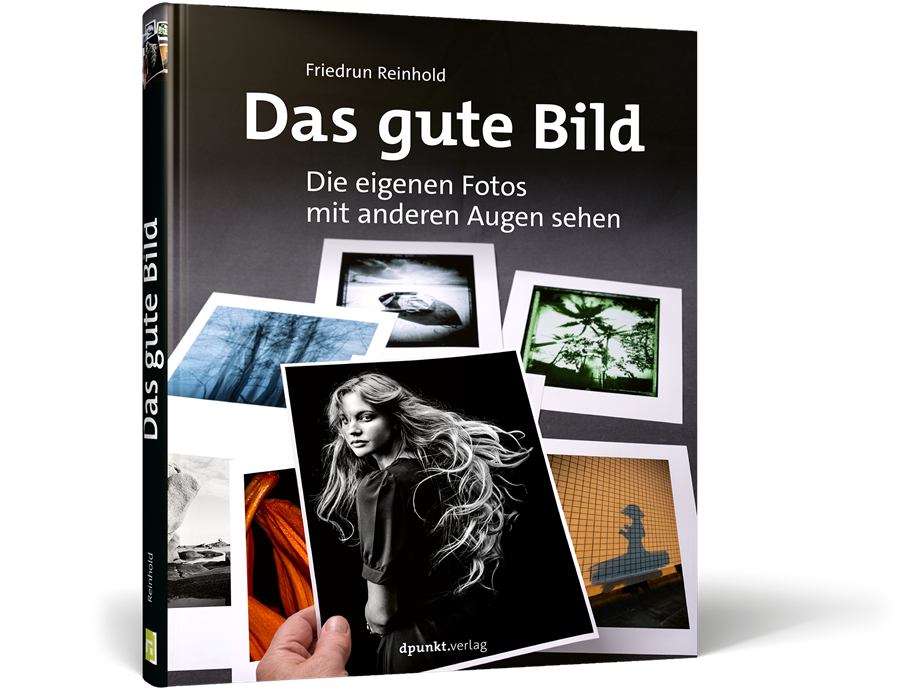 Buchcover: Das gute Bild