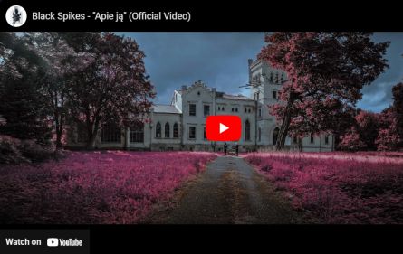 Black Spikes - Apie Ją