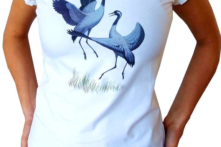 חסידות מרקדות