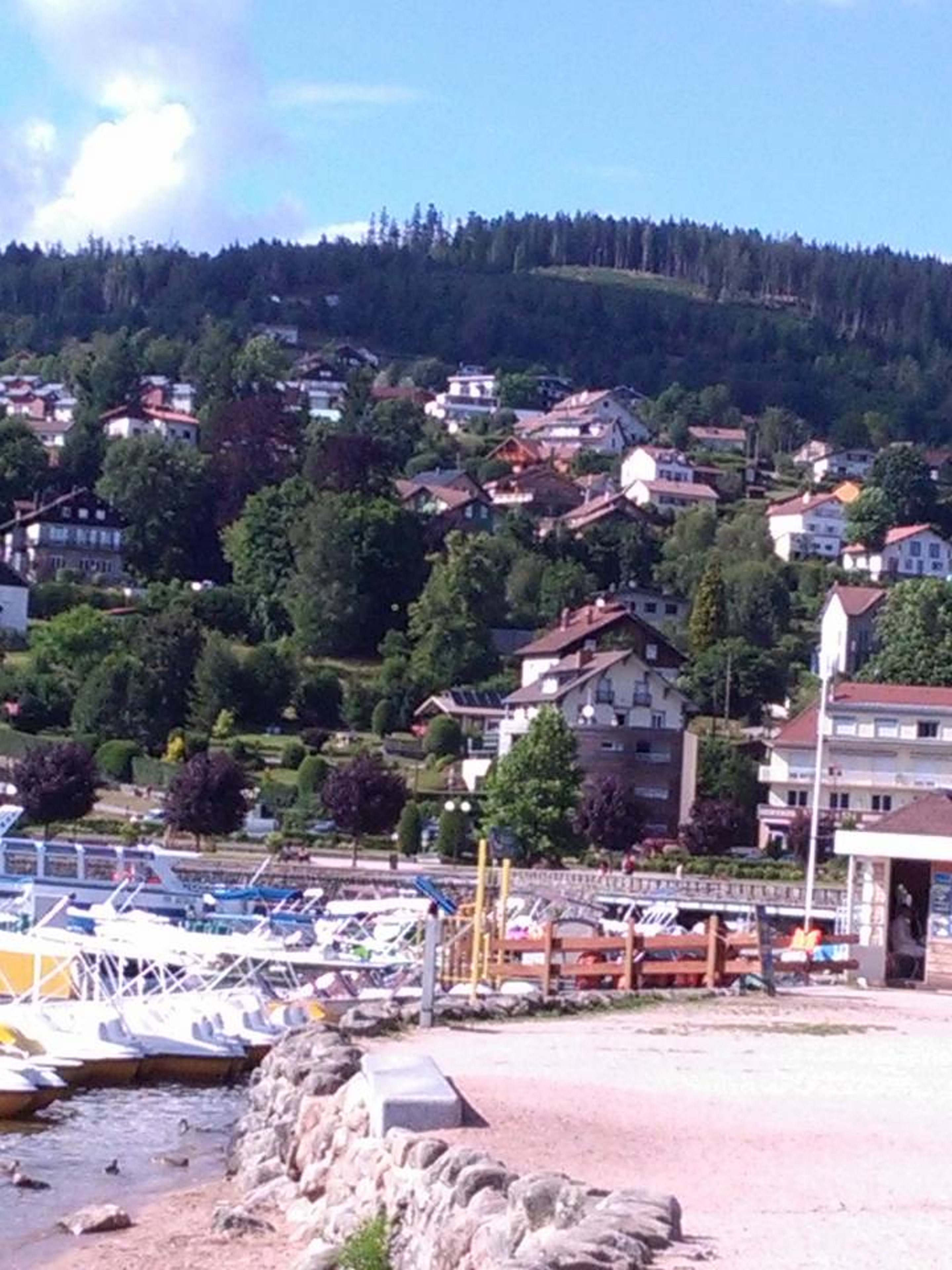 Lake view