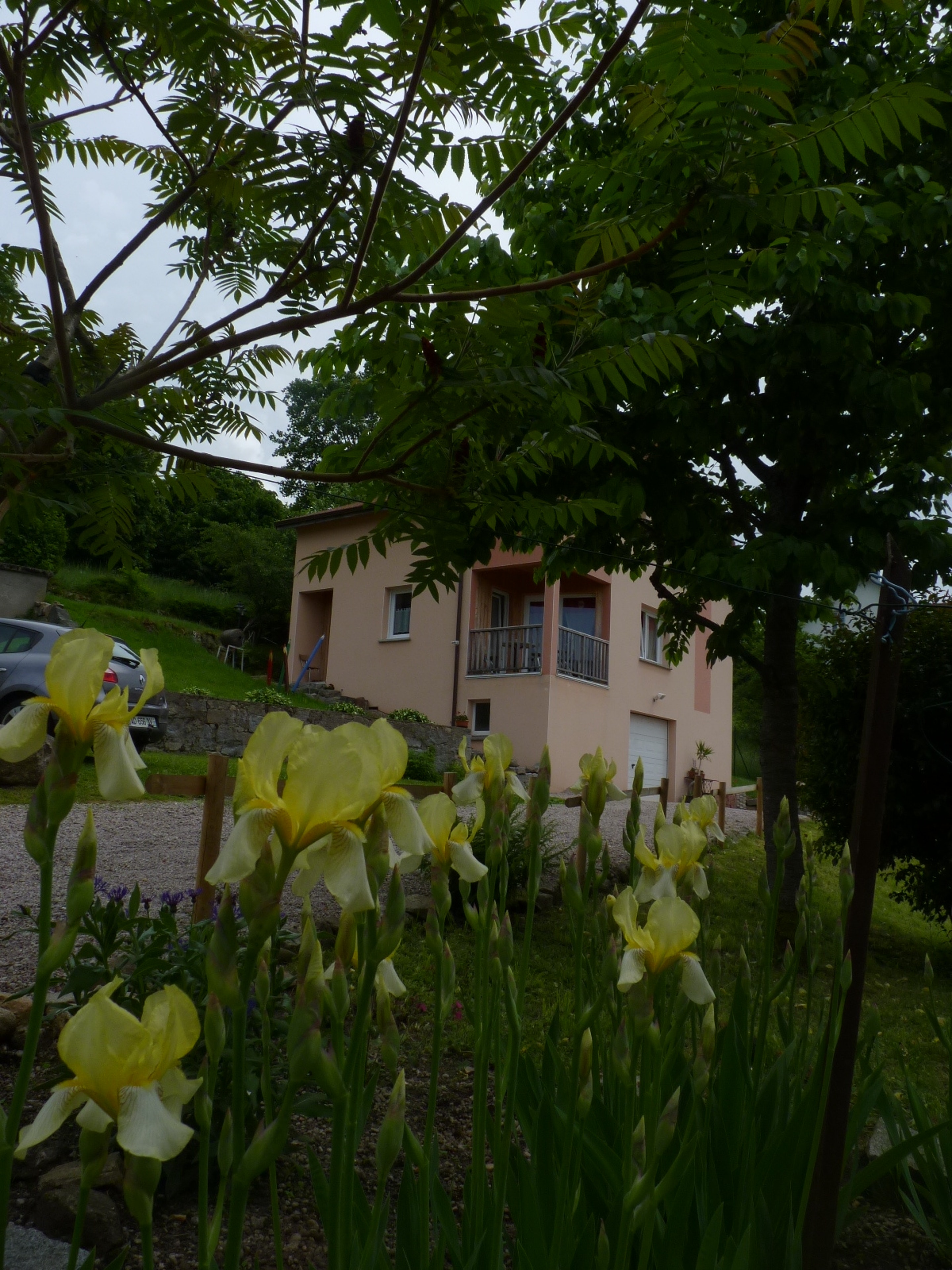 Garden view