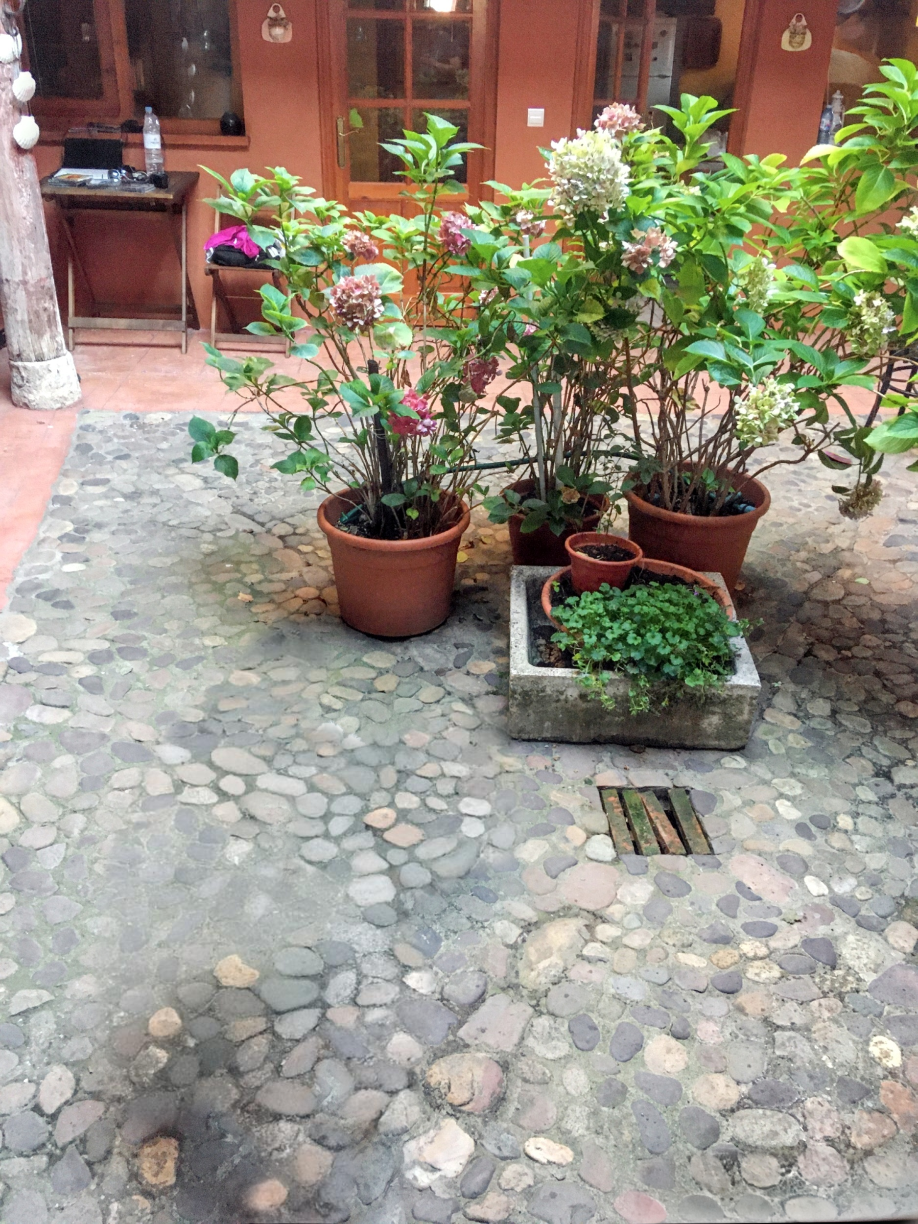 Jardín