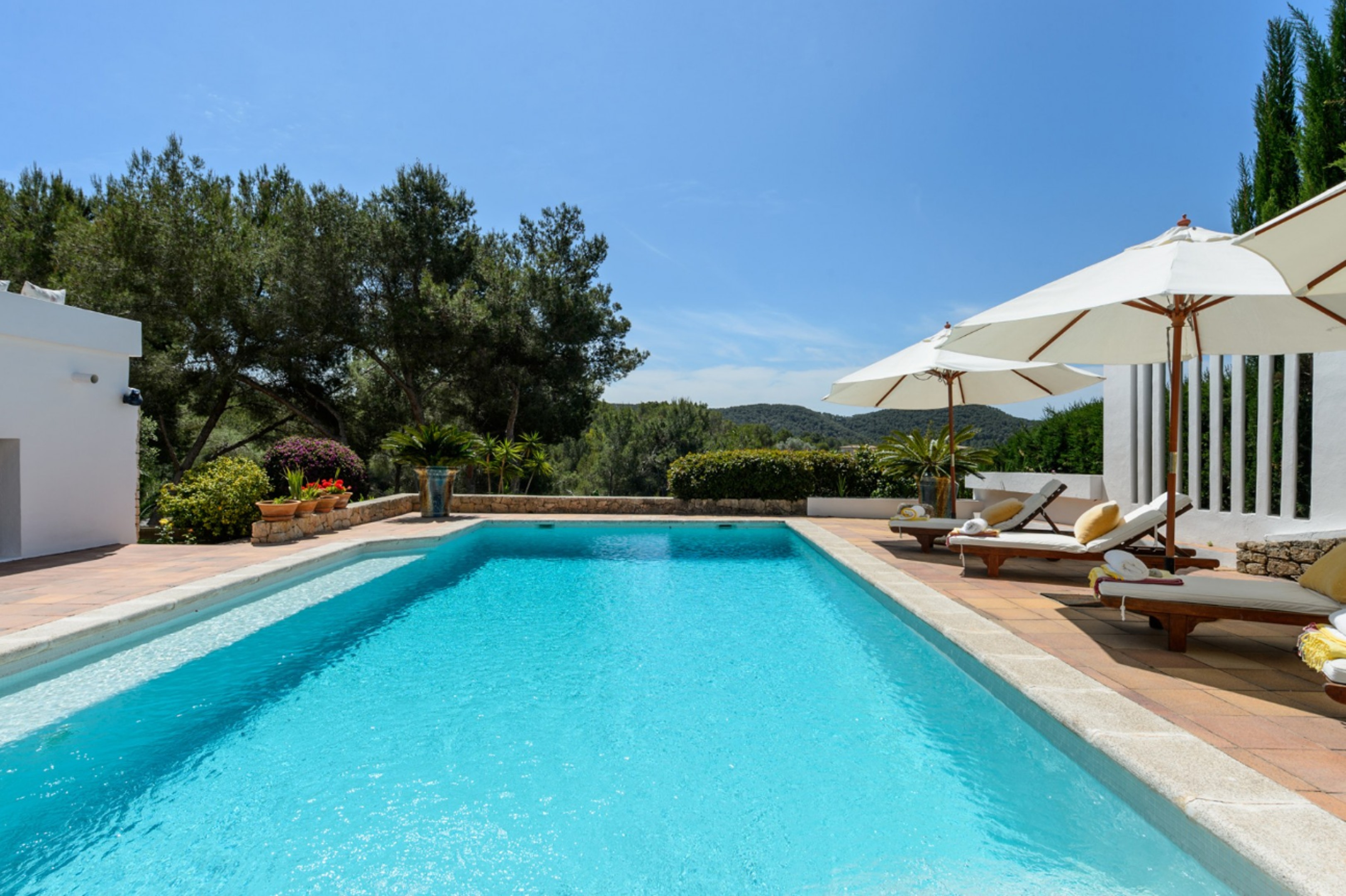 Swimming pool view