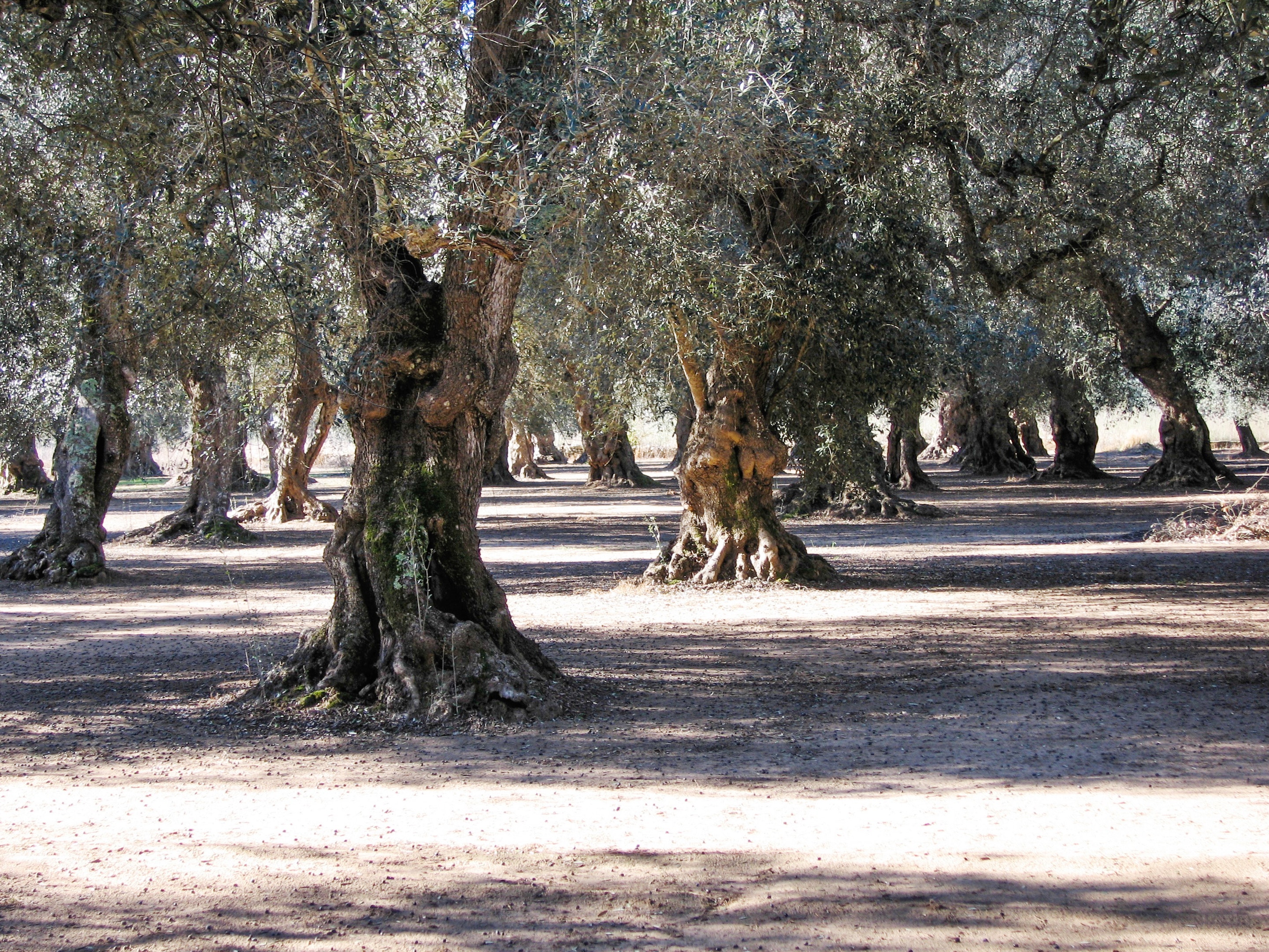 Vista del área