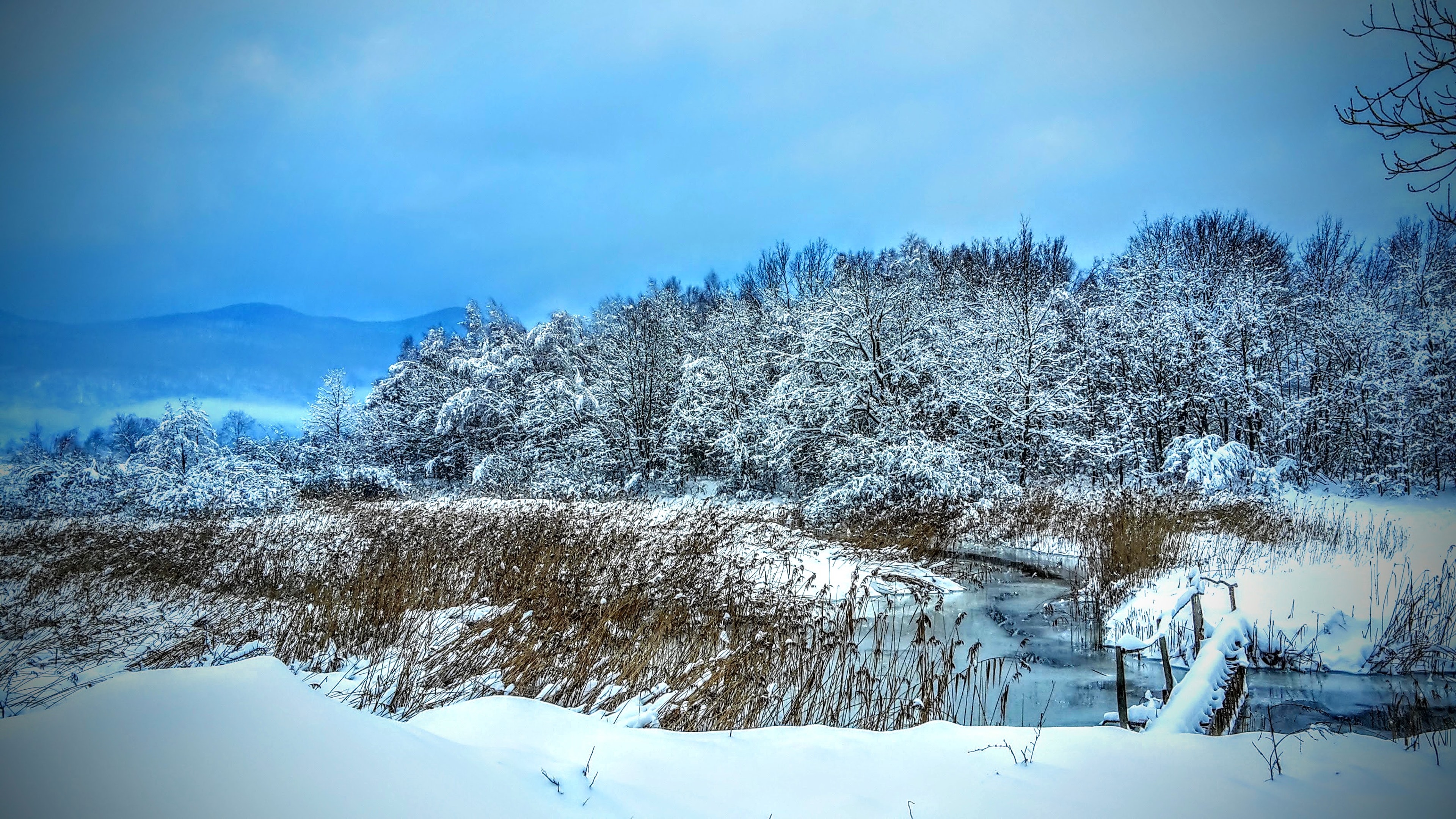 Vista sulle montagne