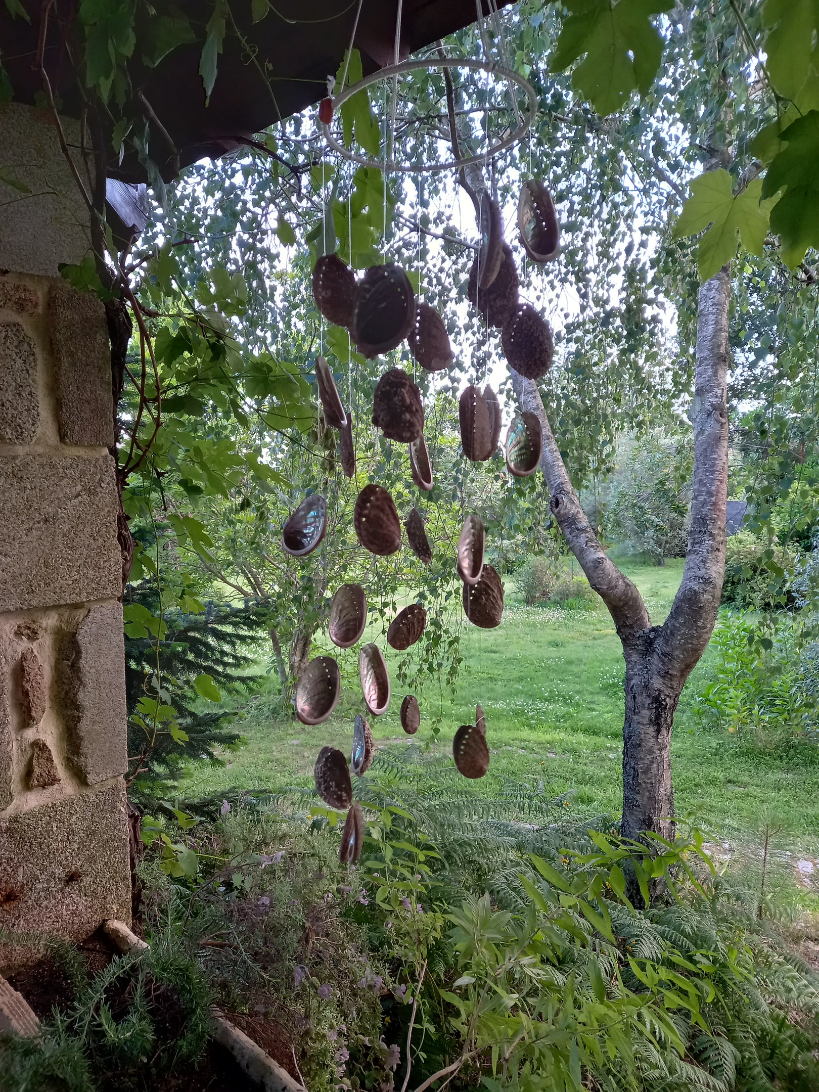 Vista sul giardino