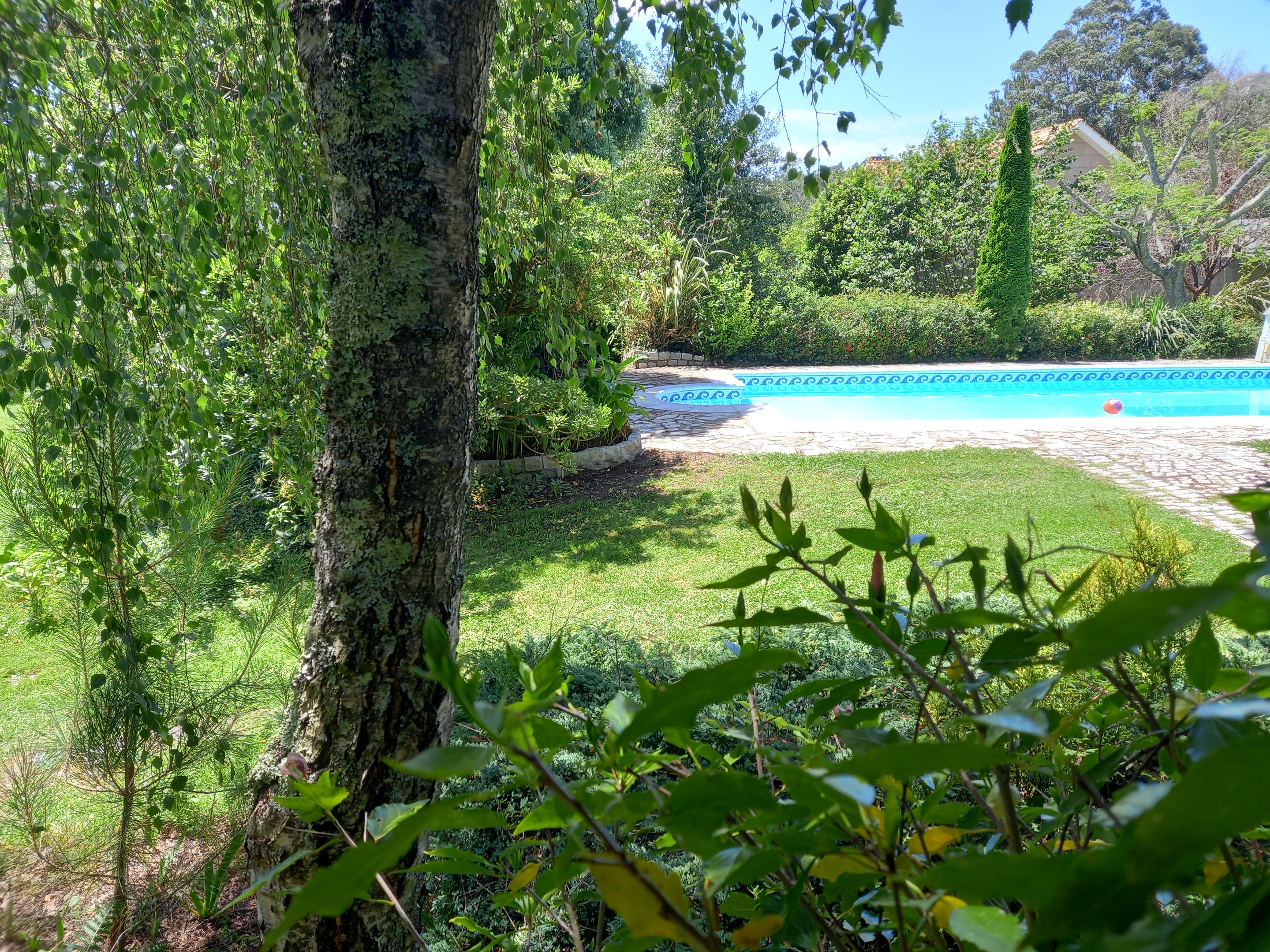 Vista sulla piscina