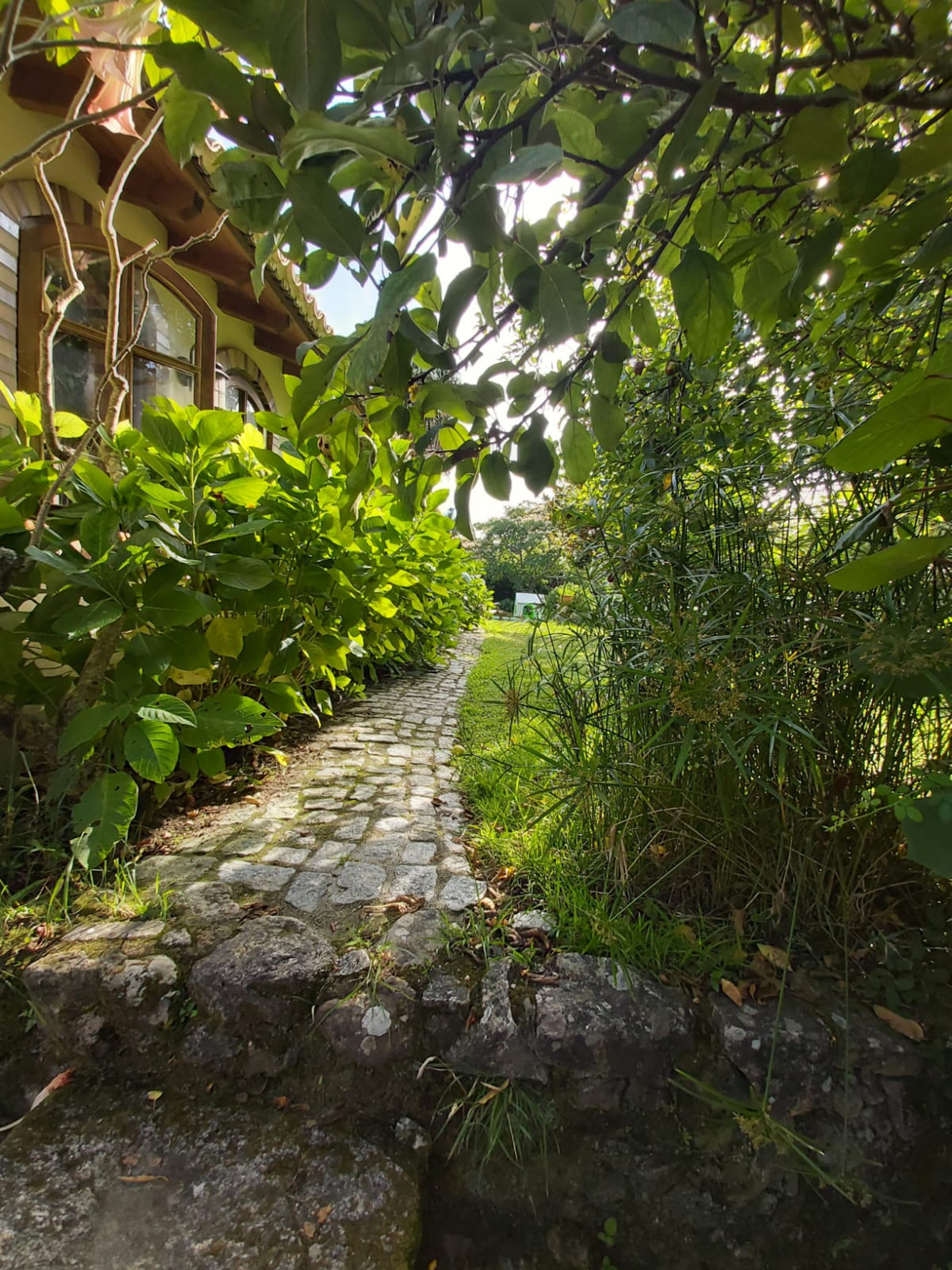 Giardino