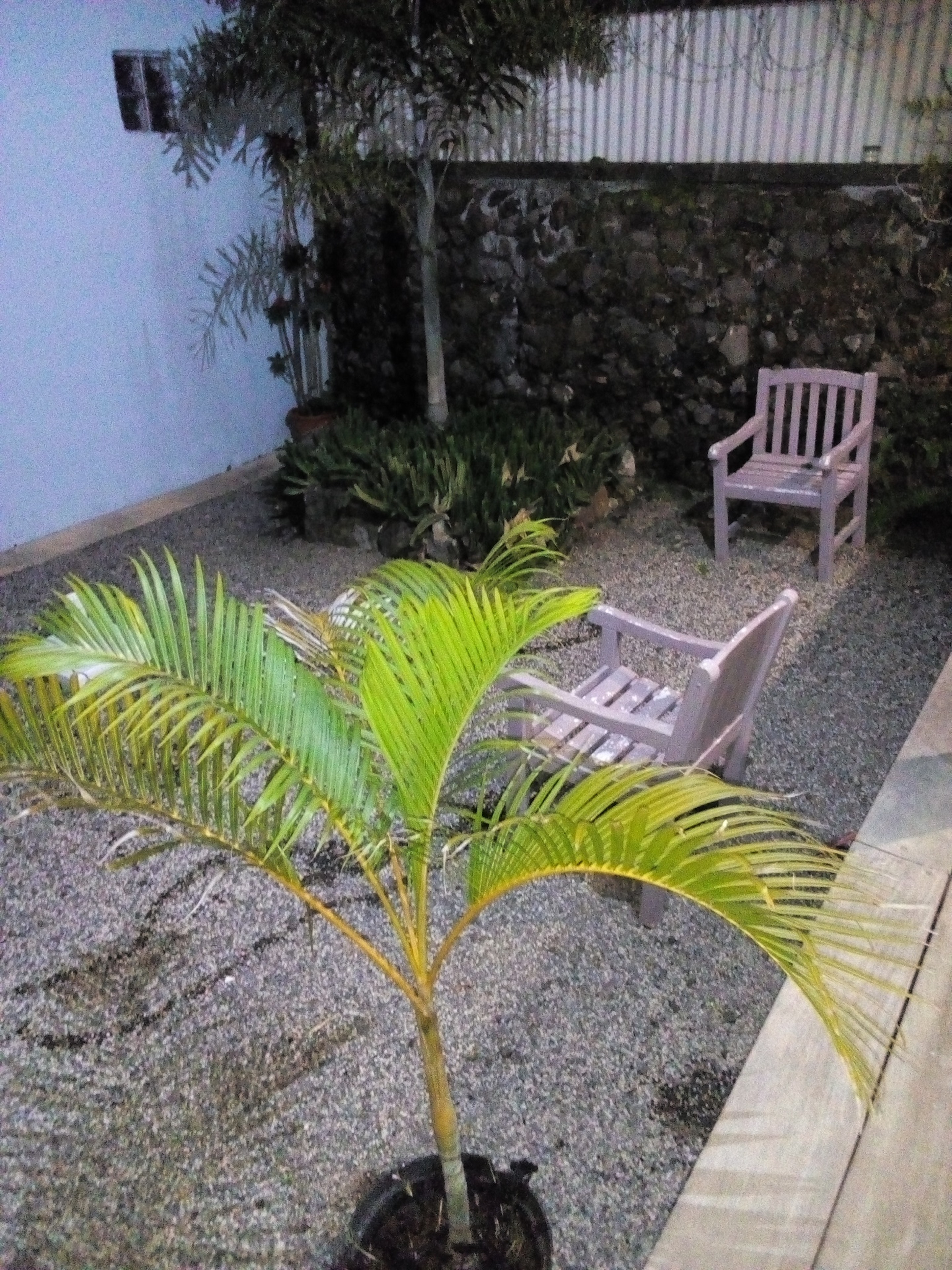 Giardino