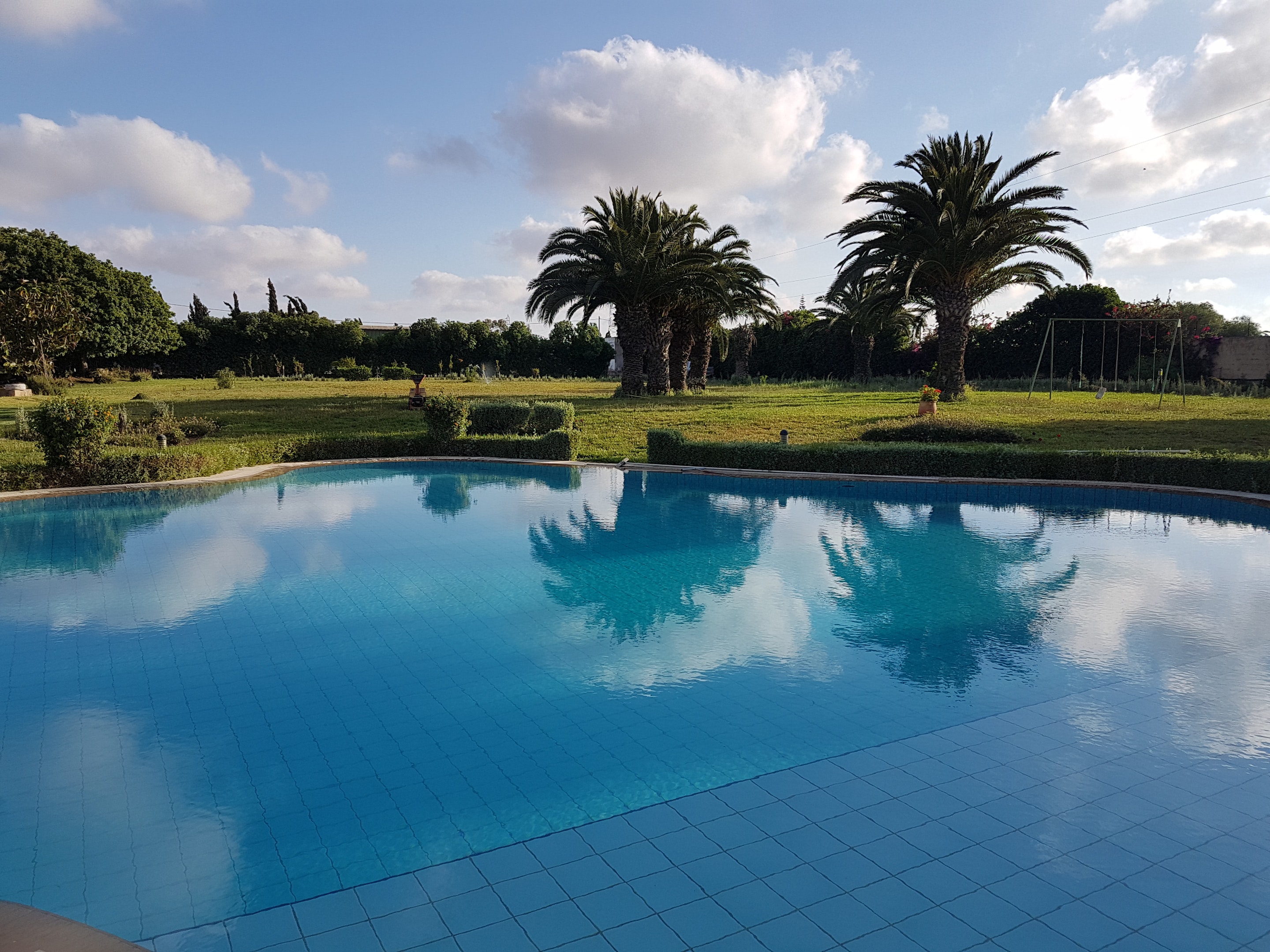 Swimming pool view