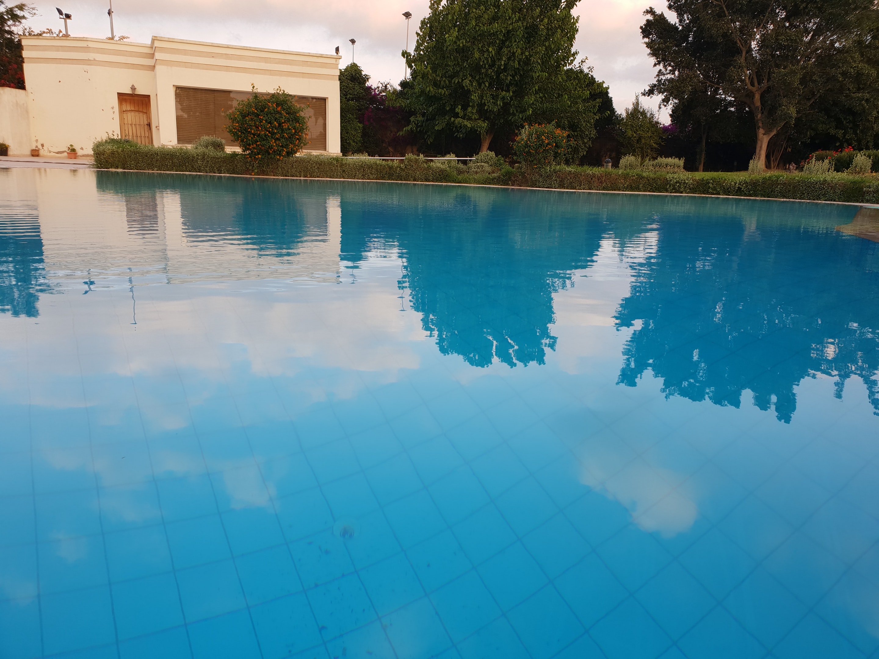 Swimming pool view