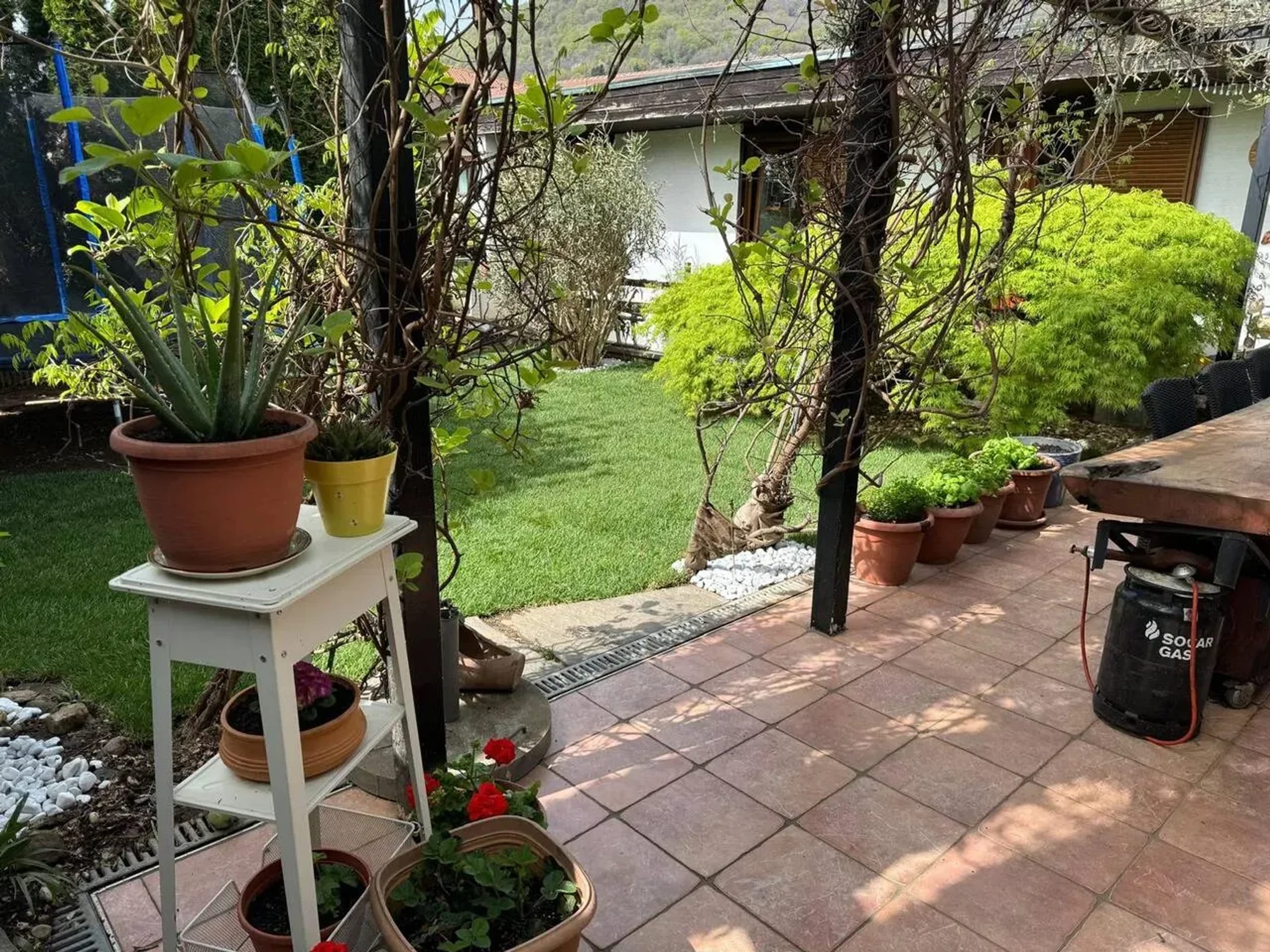 Jardin