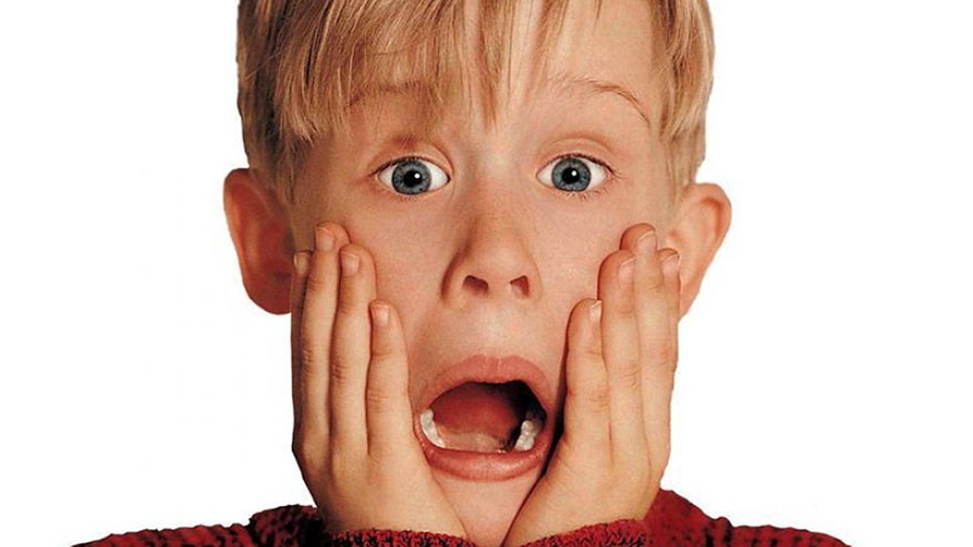 113816829-f6c28ae4-e3e5-4124-a4ac-970774eae05f-1