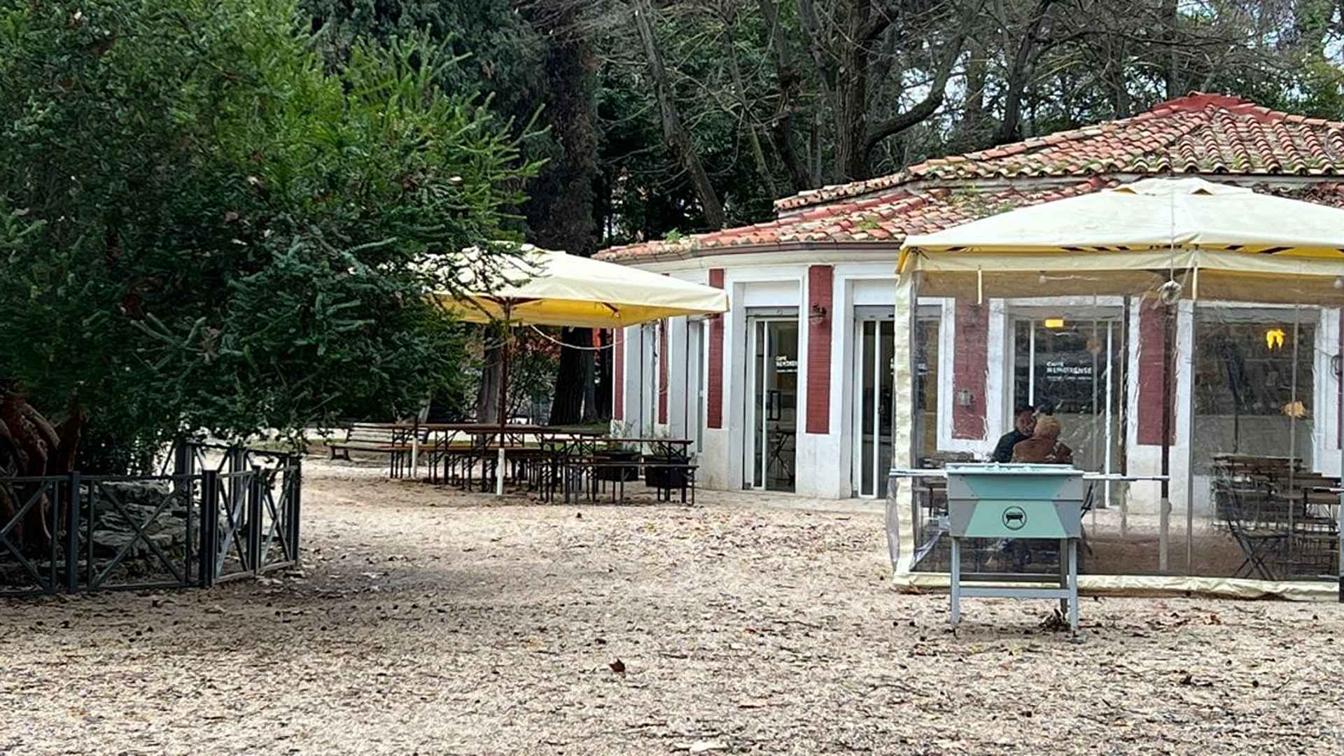A passeggio nel parco fra razzismo ed etica