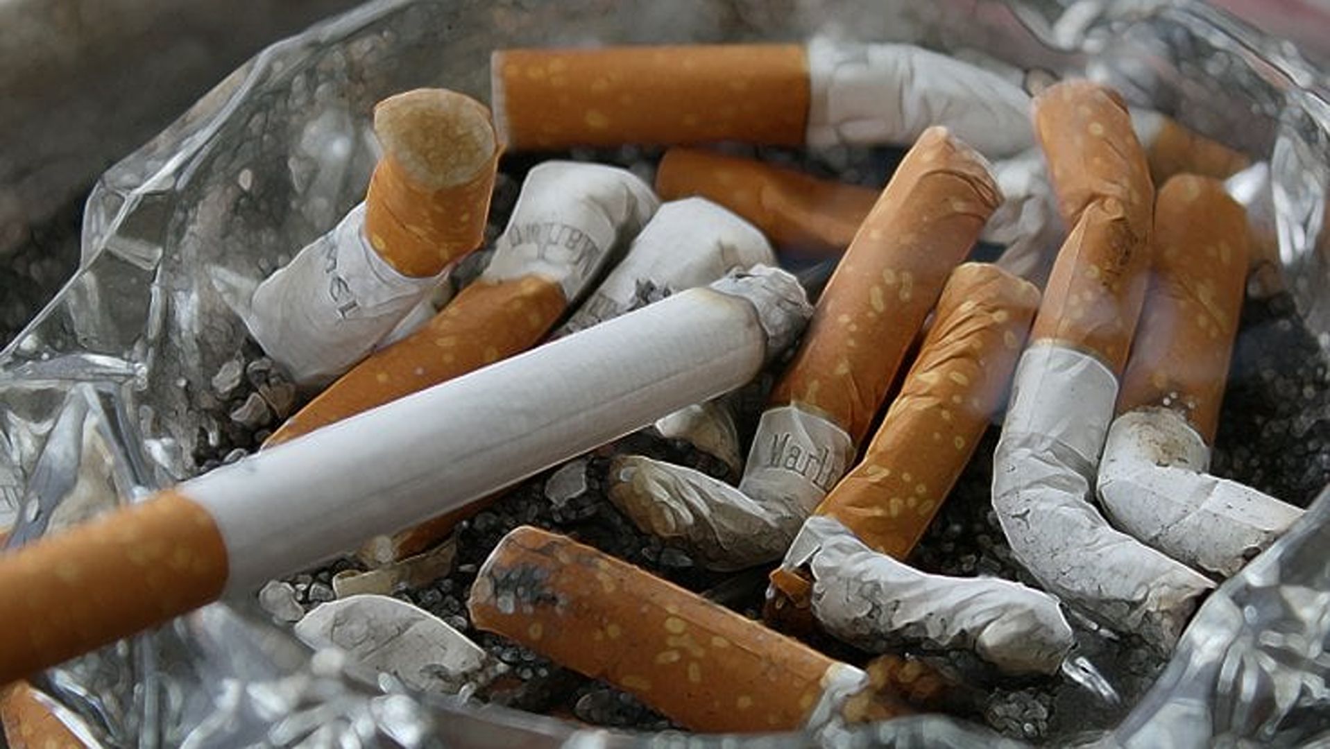 195145341-0ea530fa-b521-450c-8b2b-43ac328b4e68-1-2