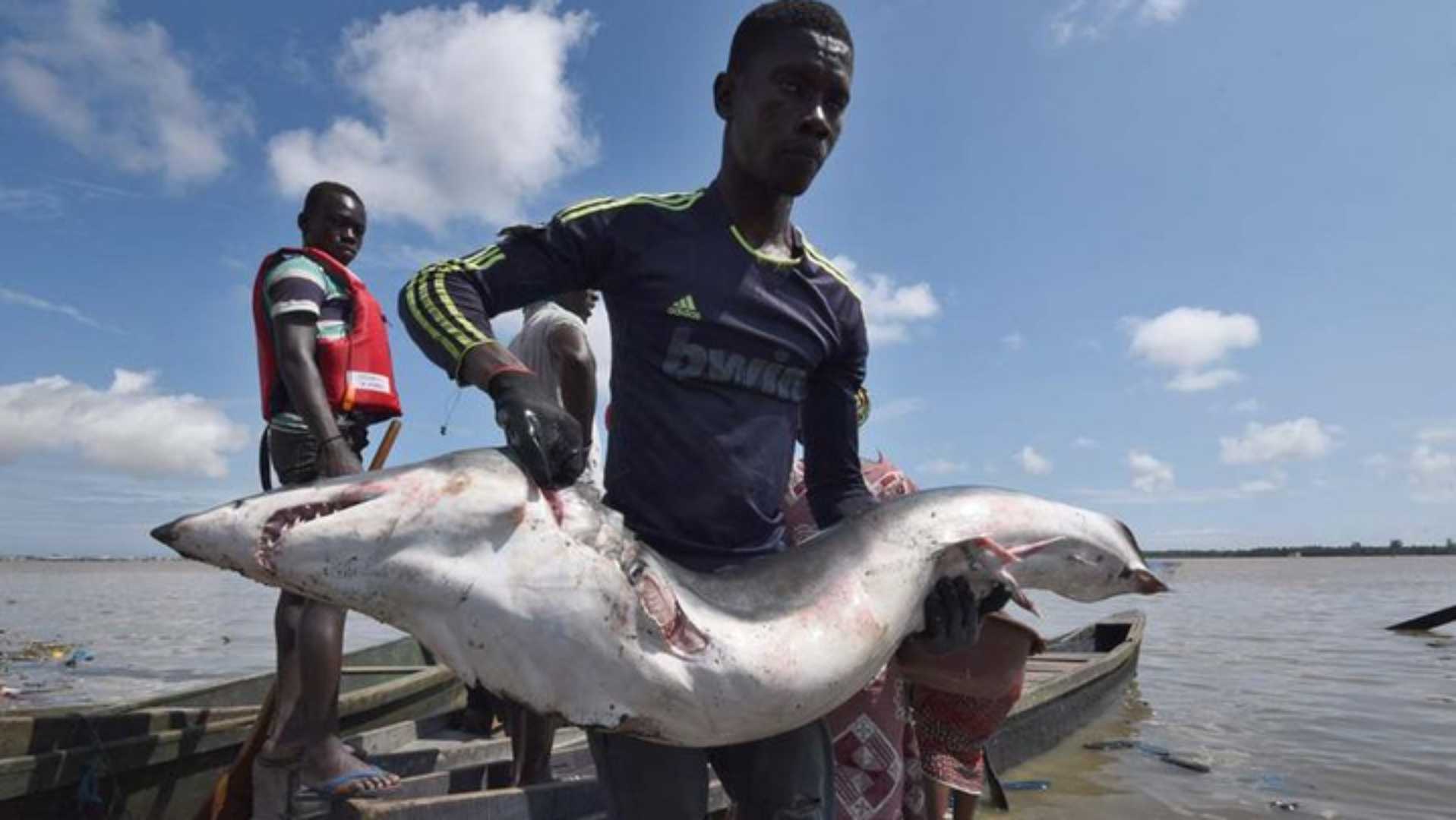 56c34dbb2142065cf89f2e2d3c9a0a69-1