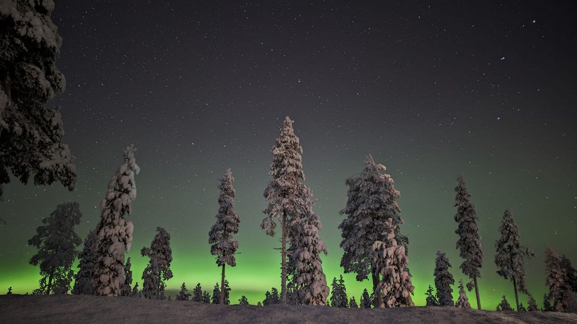 5938199523090349272121-1