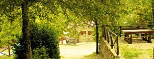 Casuccia-Visani-1