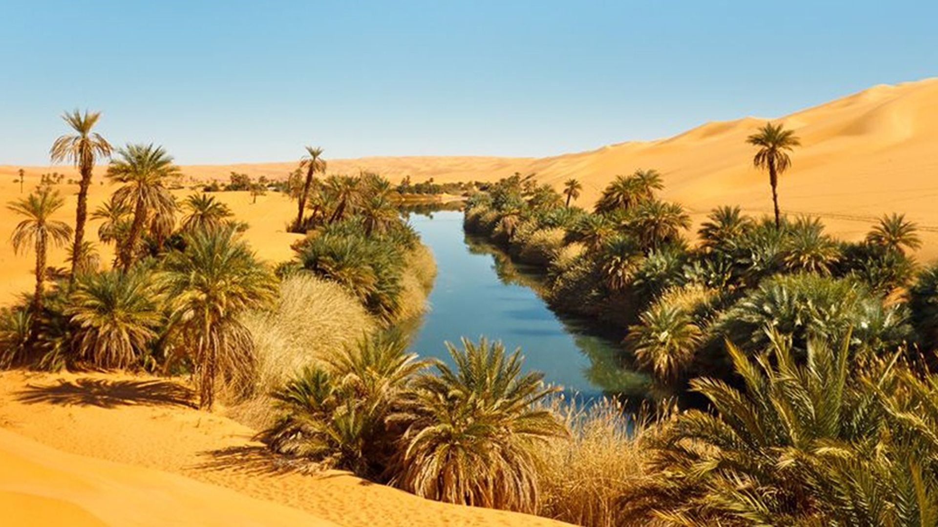 Di tutto un web – L’aria del deserto è zeppa (zuppa) d’acqua