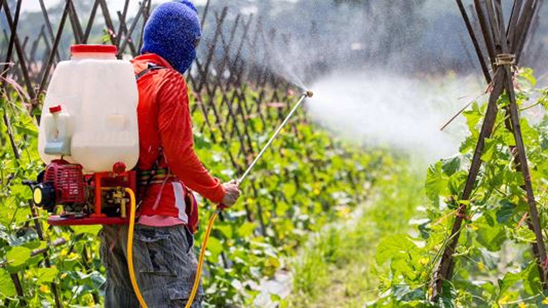 Rapporto nazionale pesticidi nelle acque. ISPRA