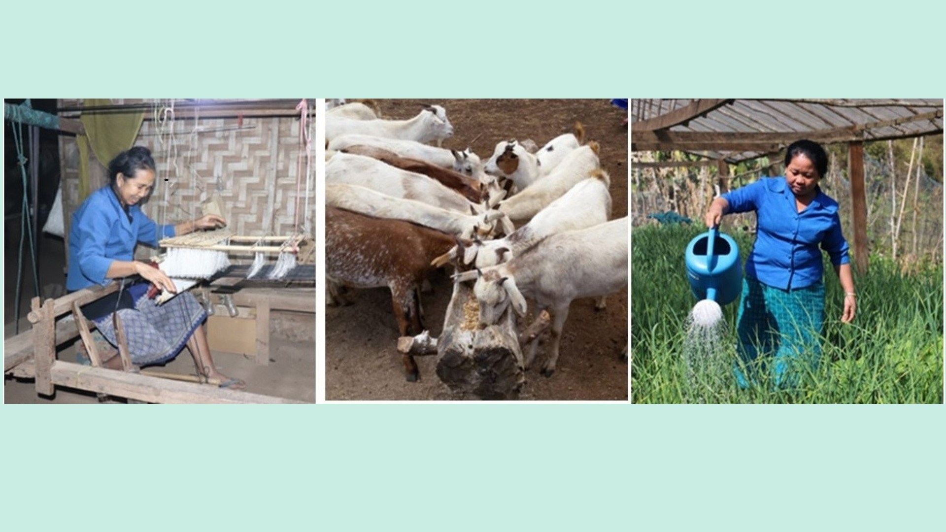 adra-germania-progetto-laos-cover