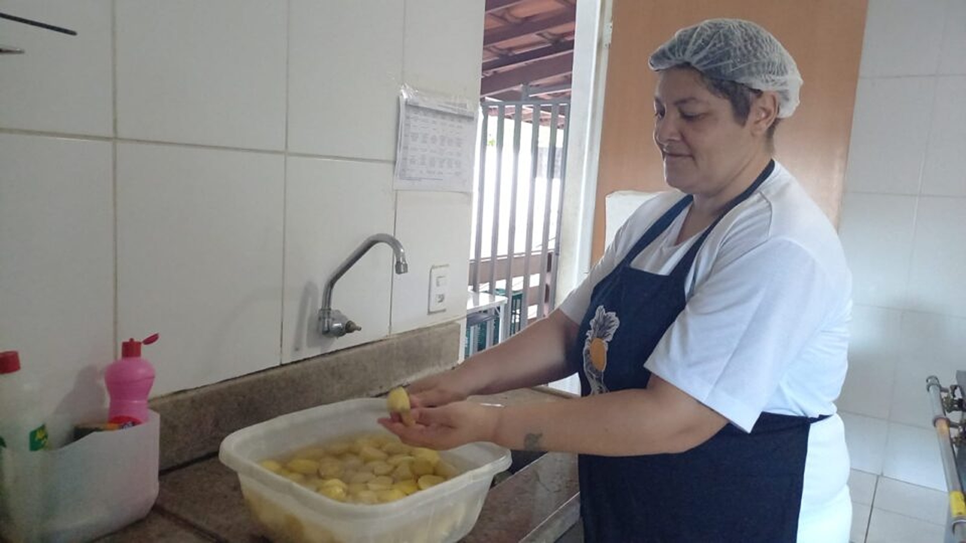 brasile-janaina-cover