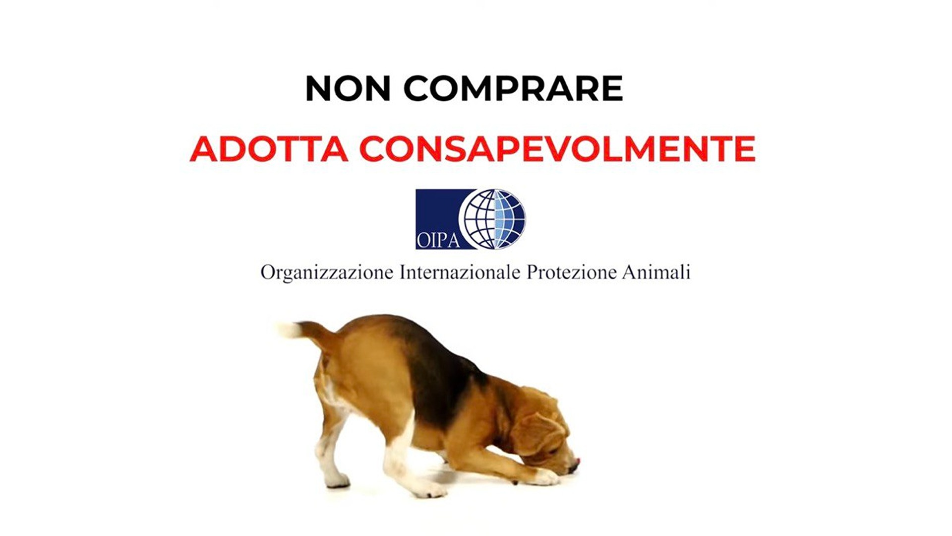 “Non comprare, adotta consapevolmente”, al via la campagna natalizia Oipa