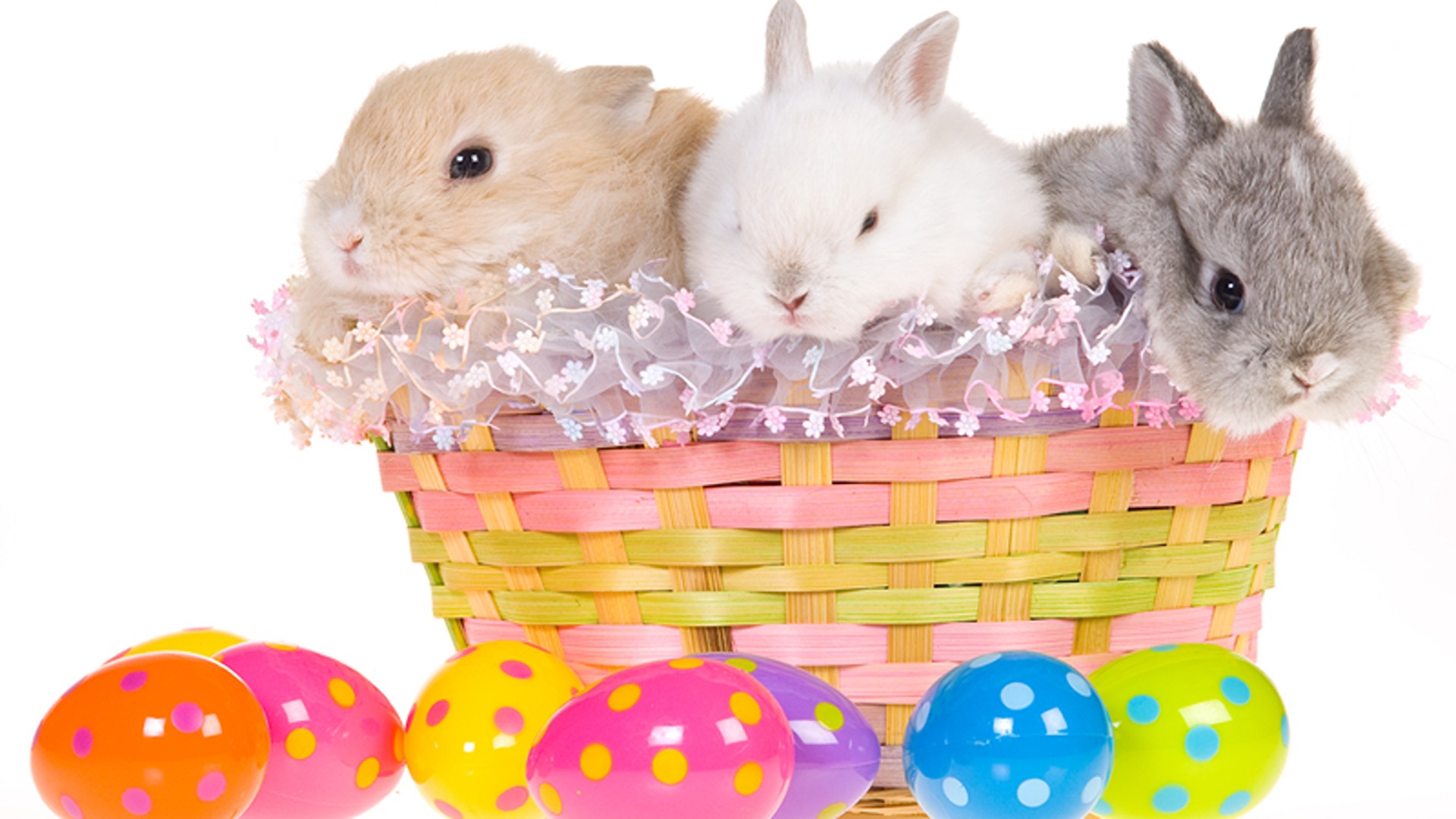 Caro Gesù ti scrivo: cosa hanno a che fare i coniglietti con la Pasqua?