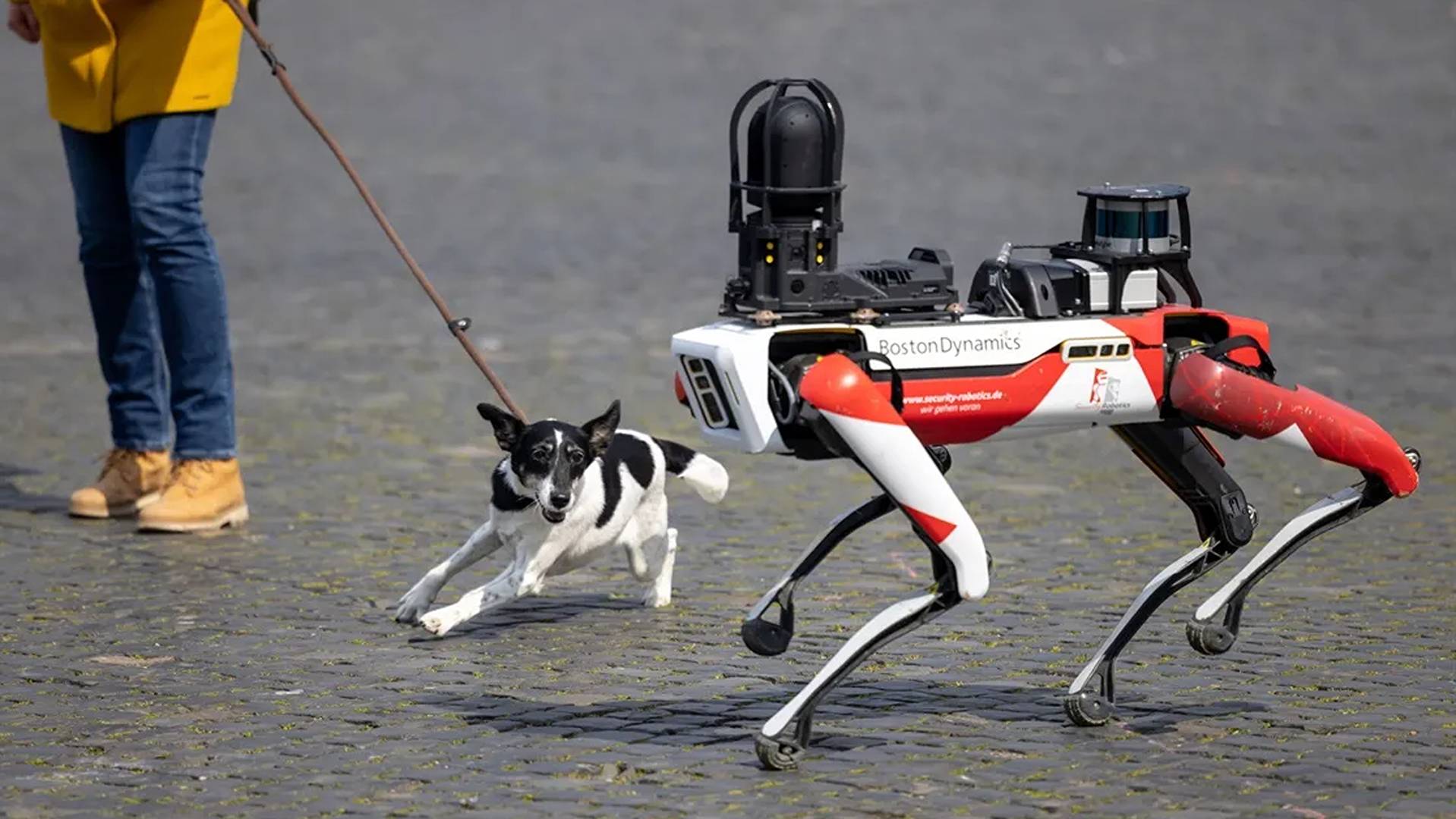 da831e57-68f5-4d26-8623-f520e23a70e0