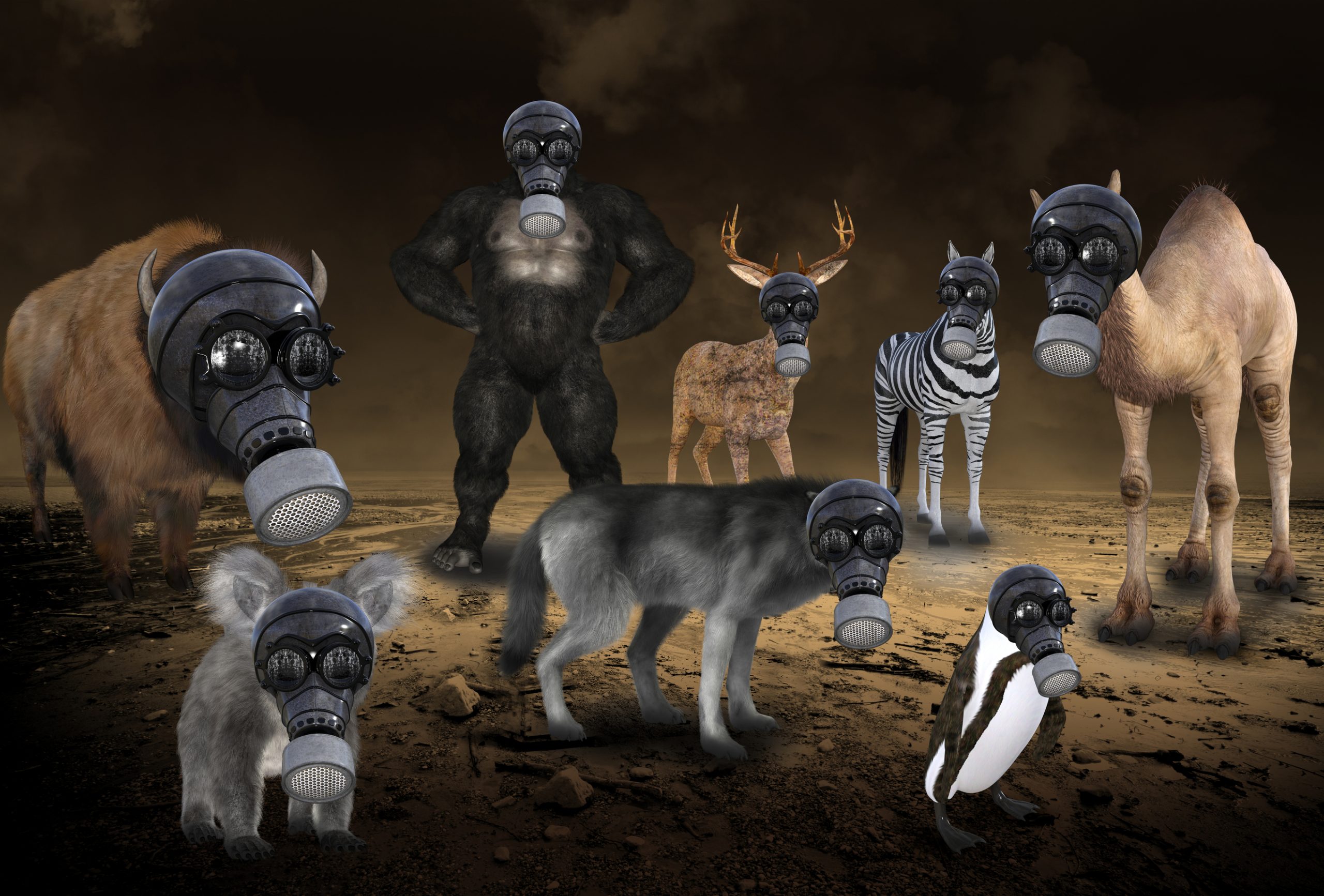 Animaliamoci 13-03-2020