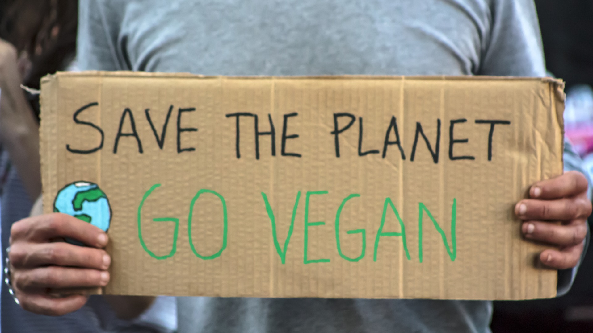 dreamstimel159652215-1