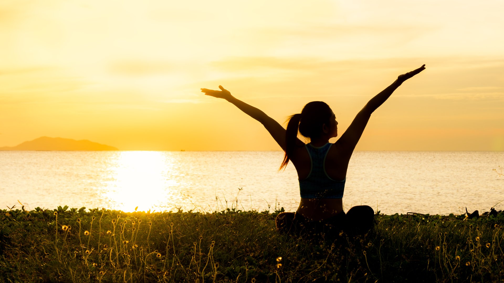 dreamstimem104584722-1-4