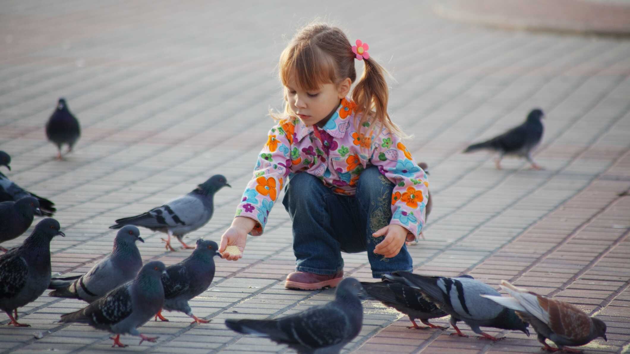 dreamstimem11762260-croppedoptimized